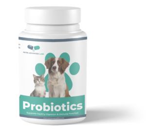 PROBIOTICS