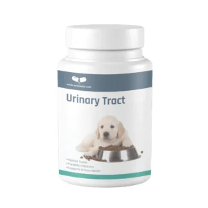 Urinary Tract